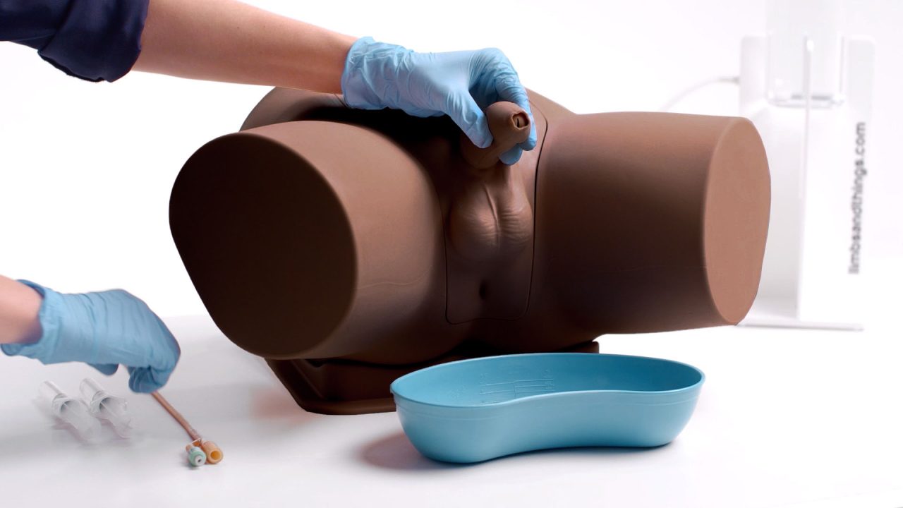 Male Catheterisation Trainer, Dark