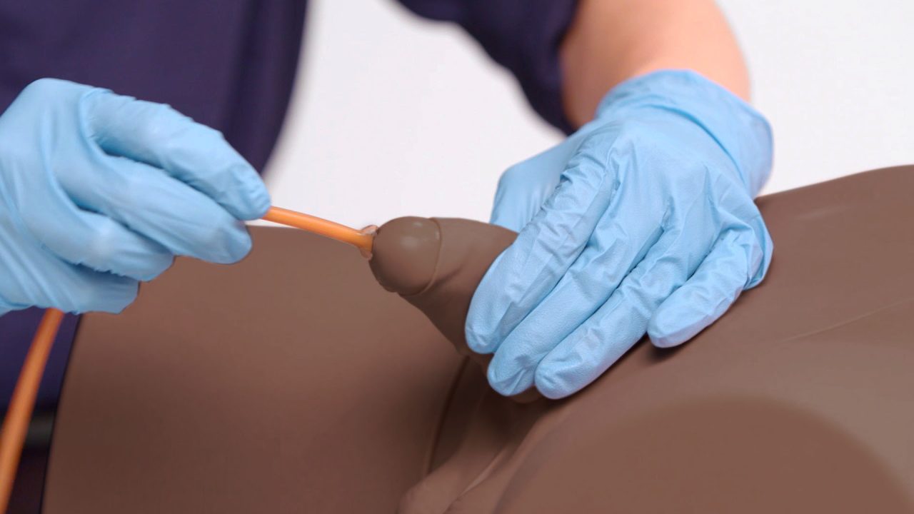 Standard Catheterisation Trainer Set, Dark