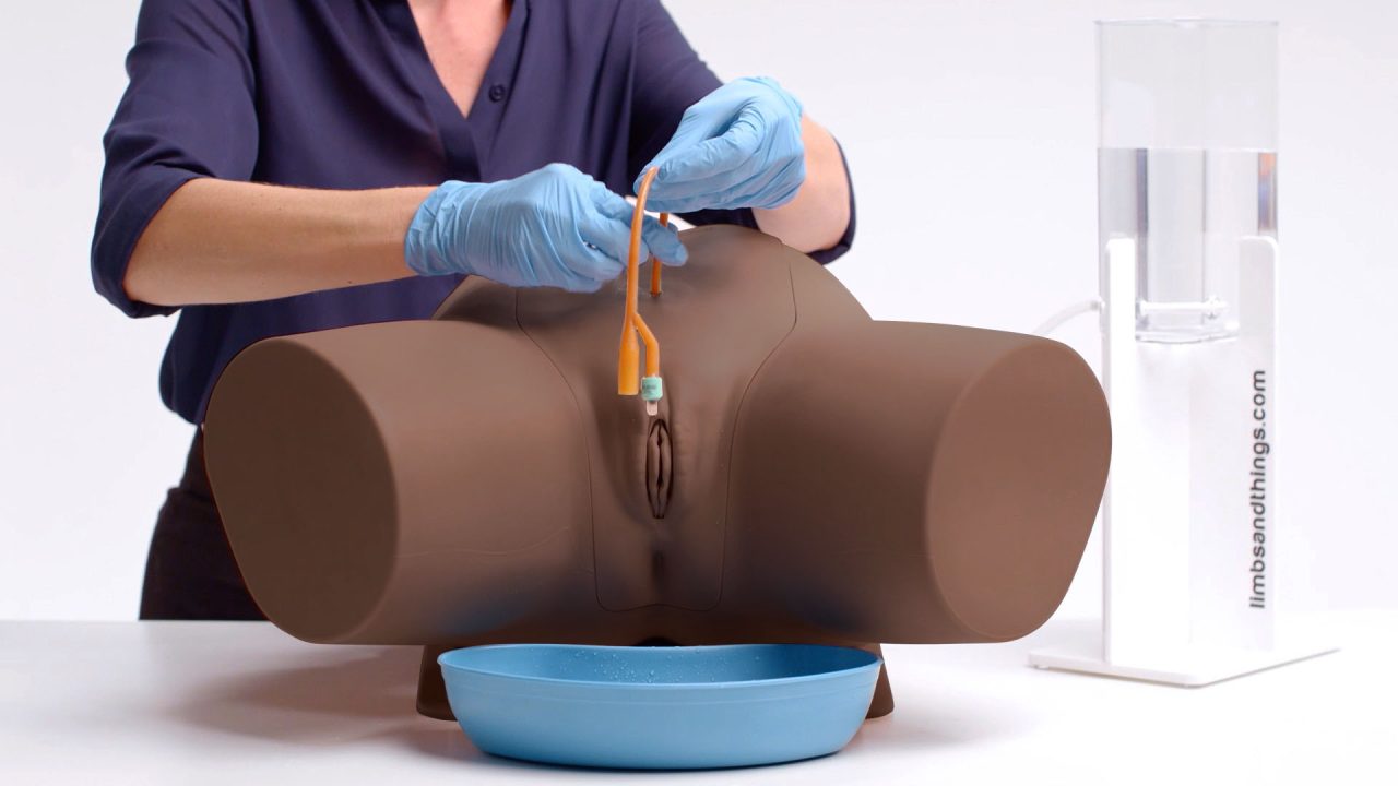 Standard Catheterisation Trainer Set, Dark