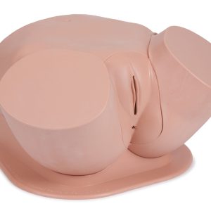 Standard Clinical Female Pelvic Trainer Mk3 (CFPT), Light