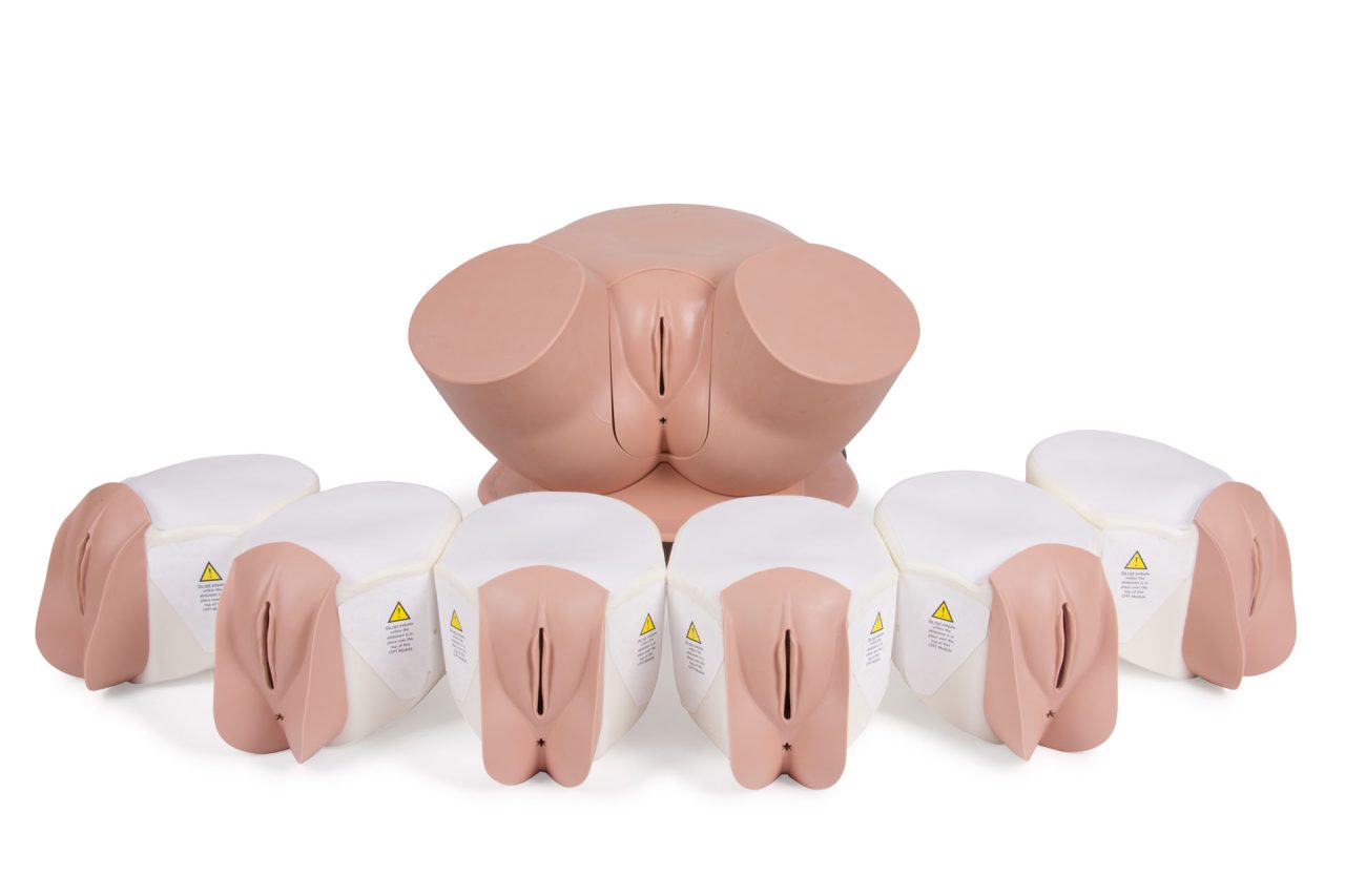 Advanced Clinical Female Pelvic Trainer (CFPT) Mk 3, Light