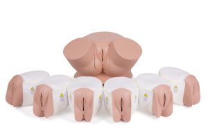 Advanced Clinical Female Pelvic Trainer (CFPT) Mk 3, Light