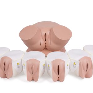 Advanced Clinical Female Pelvic Trainer (CFPT) Mk 3, Light