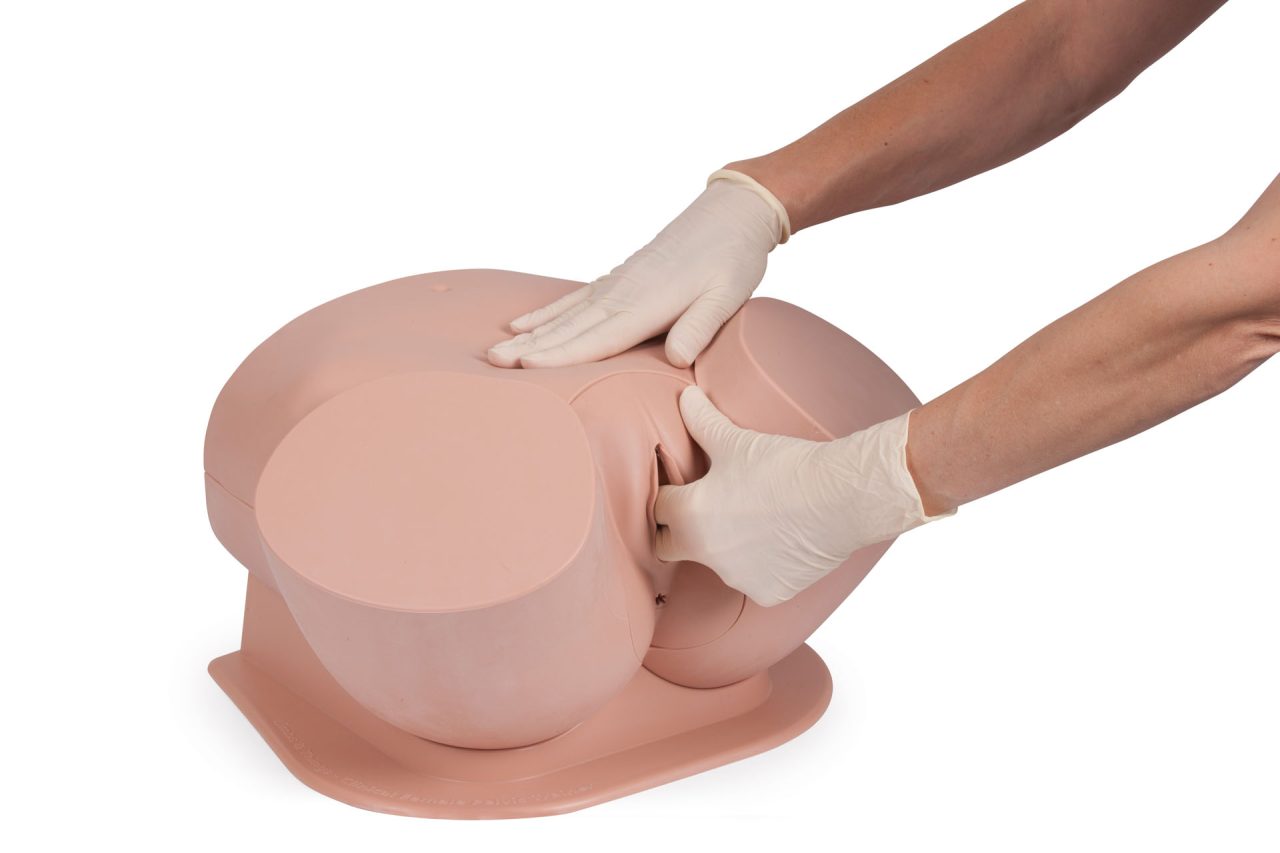 Advanced Clinical Female Pelvic Trainer (CFPT) Mk 3, Light