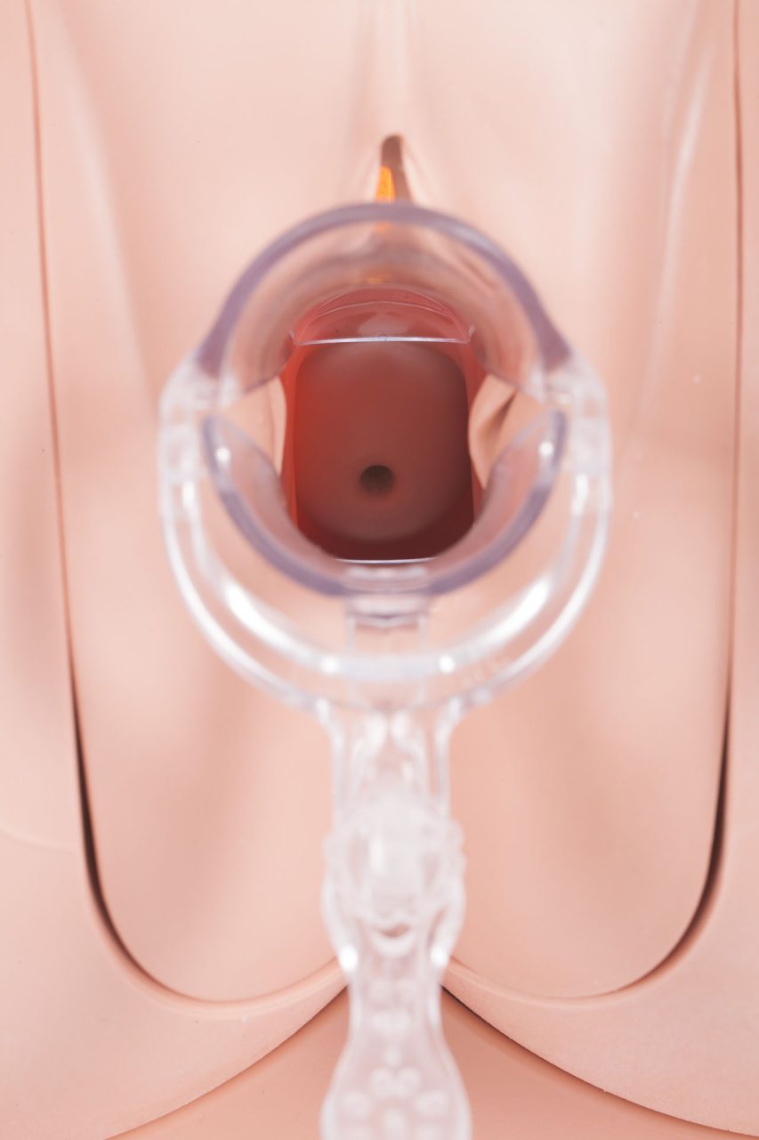 Advanced Clinical Female Pelvic Trainer (CFPT) Mk 3, Light
