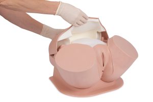 Advanced Clinical Female Pelvic Trainer (CFPT) Mk 3, Light