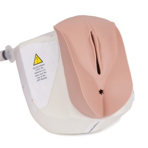 CFPT Mk 3 Module 1: Normal - Nulliparous Cervix, Light