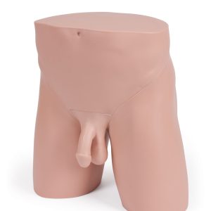 Standard Clinical Male Pelvic Trainer (CMPT) Mk 2, Light