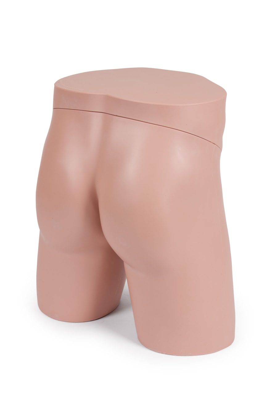 Standard Clinical Male Pelvic Trainer (CMPT) Mk 2, Light
