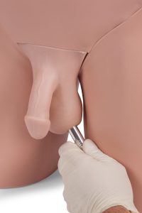 Advanced Clinical Male Pelvic Trainer (CMPT) Mk 2, Light