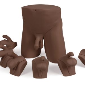 Advanced Clinical Male Pelvic Trainer (CMPT) Mk 2, Dark