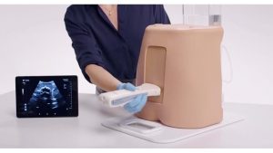Ultrasound Epidural & Lumbar Puncture Model, Light