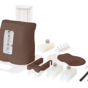 Advanced Epidural & Lumbar Puncture Model, Dark