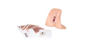 Anal Sphincter Repair Trainer, Light