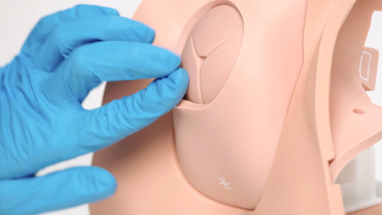 Episiotomy Trainer, Light