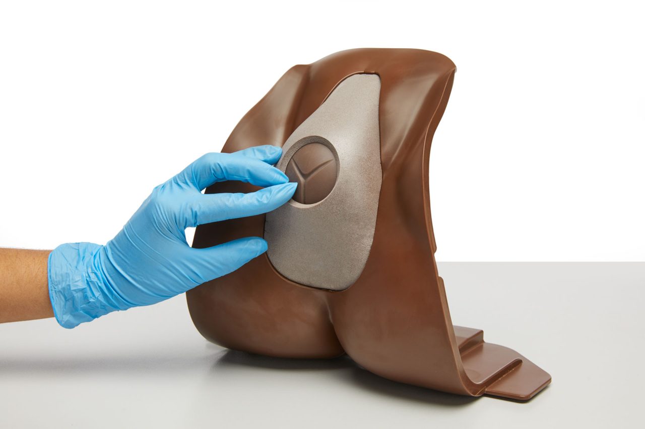 Episiotomy Trainer, Dark