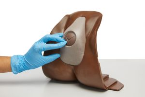 Episiotomy Trainer, Dark