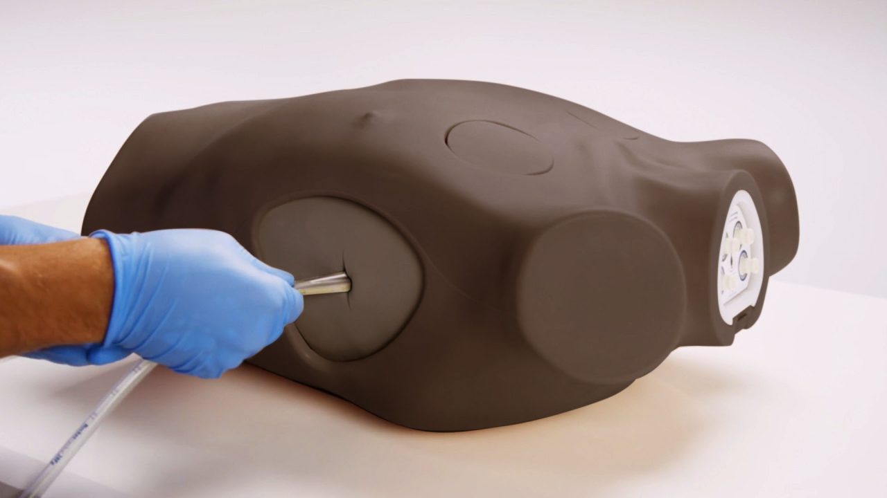 Chest Drain & Needle Decompression Trainer, Dark