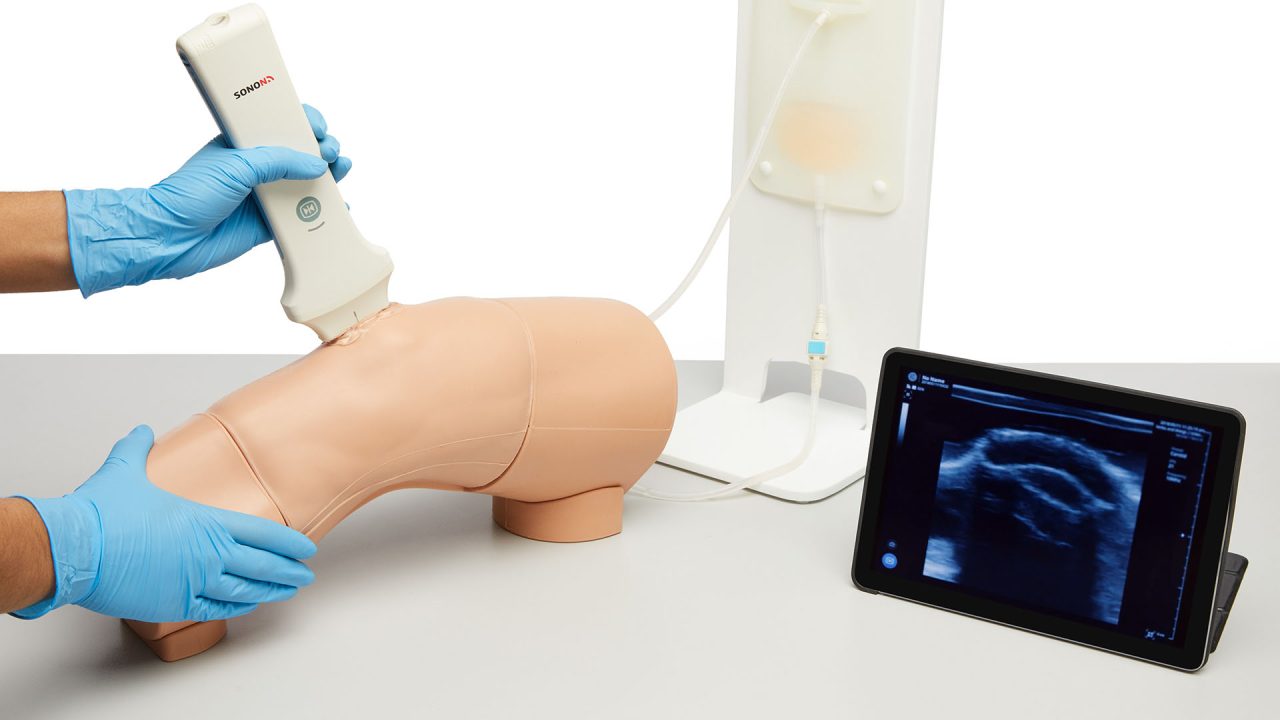 Knee Aspiration & Injection Trainer With Ultrasound Capabilities, Light