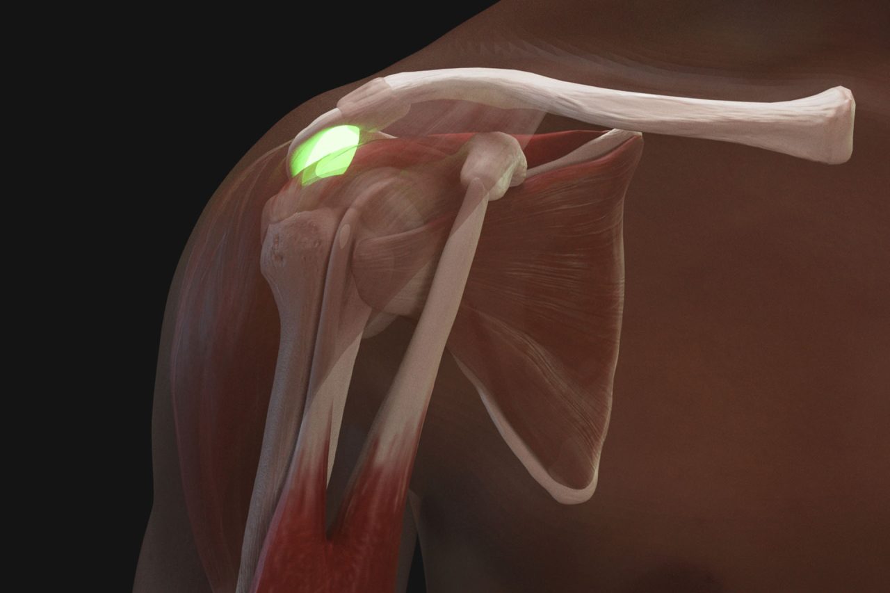 Shoulder Injection Trainer Palpation Guided with Android Tablet, Light