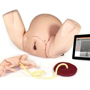 Prompt Flex Birthing Simulator - Advanced, Light