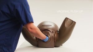 Prompt Flex Enhanced Caesarean Section Module, Light (ECSM)
