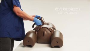 Prompt Flex Enhanced Caesarean Section Module, Light (ECSM)