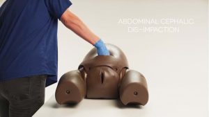 Prompt Flex Enhanced Caesarean Section Module, Dark (ECSM)