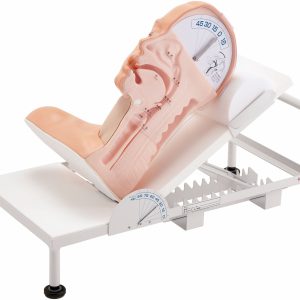 Swallowing Simulator, Light