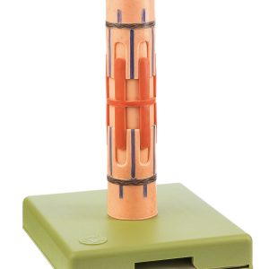 Functional Model of a Myofibril
