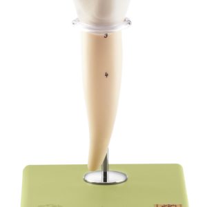 Lower Molar With One Root