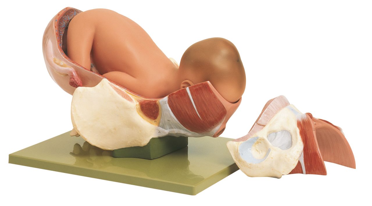 Birth - Second Stage, Light