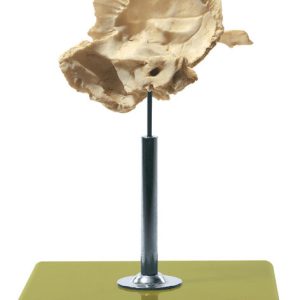 Artificial Temporal Bone