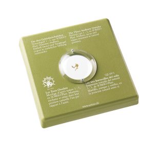 The Three Auditory Ossicles