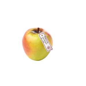 Rheinische Schafsnase