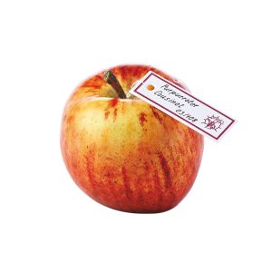 Purpurroter Cousinot