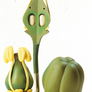 Flower of the Grape Vine