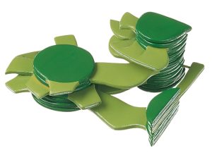 Chloroplast of a Higher Plant