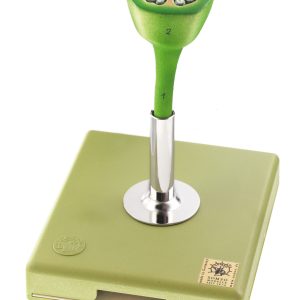 Apple Blossom - Cross Section of the Ovary