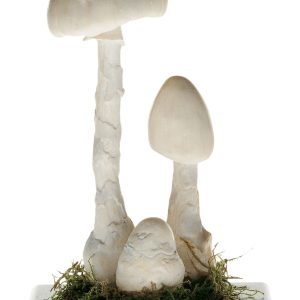 Destroying Angel