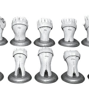 Sets of Teeth of a Horse