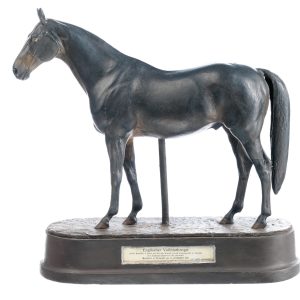 Thoroughbred Stallion "Dark Ronald"