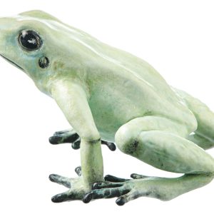 Golden Poison Frog "Mint" Mint Green, Female