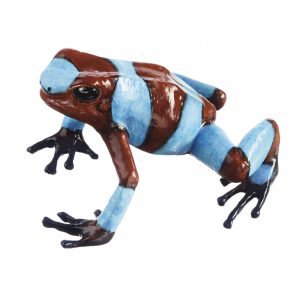Harlequin Poison Frog "Risaralda Blue", Female