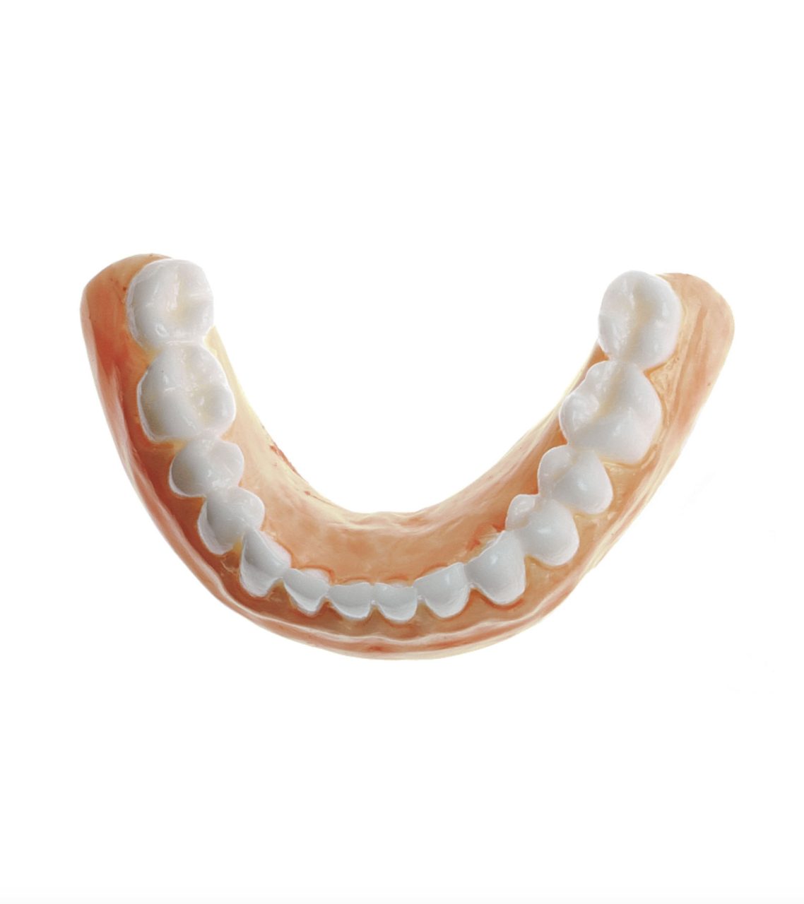 Teeth for Lower Jaw