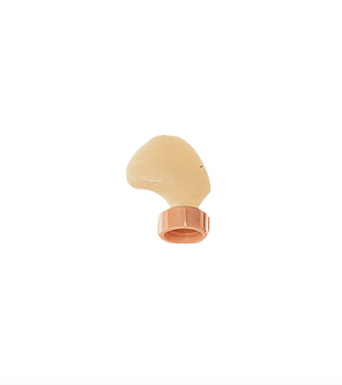Ovary, Left Tissue Section