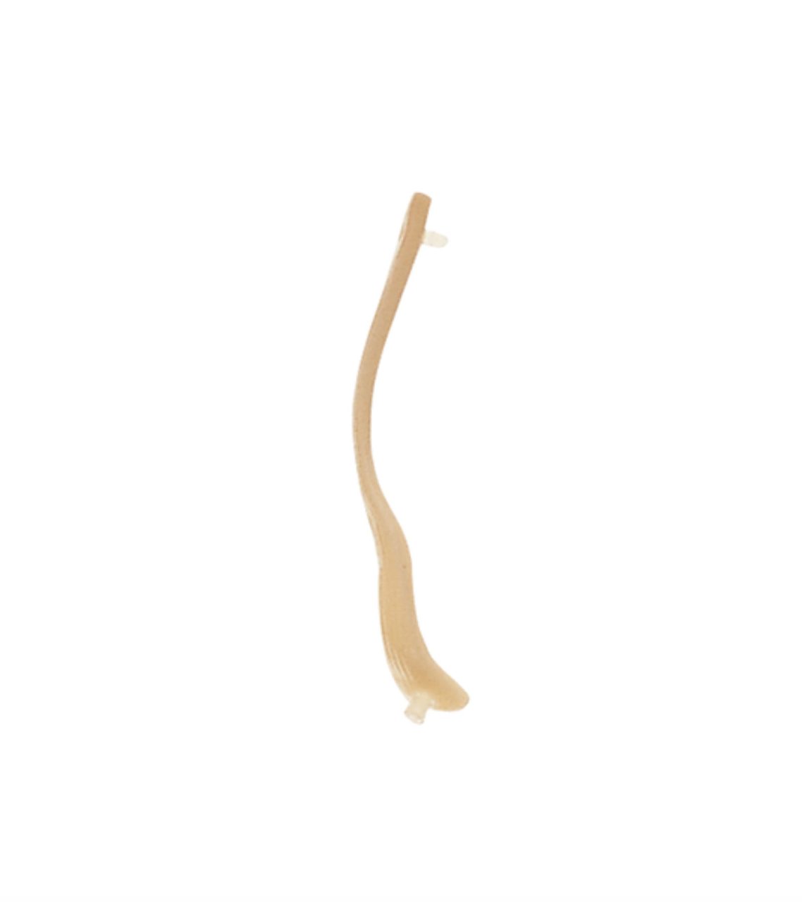 Biceps Tendon