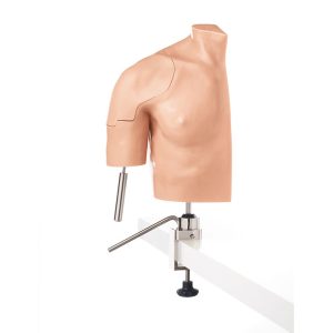 Arthroscopy Model of the Shoulder