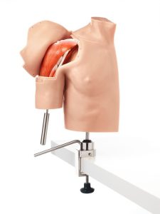 Arthroscopy Model of the Shoulder