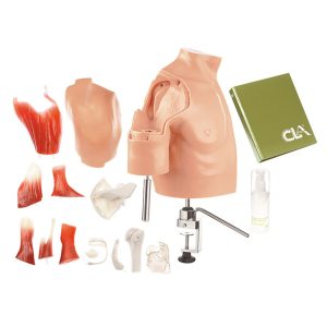Arthroscopy Model of the Shoulder